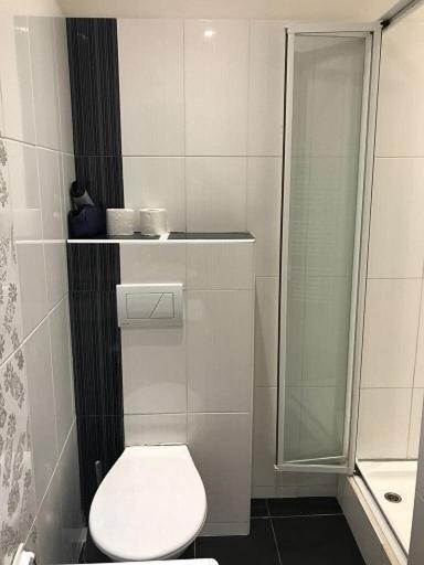 Stara Louka Apartments Κάρλοβι Βάρι Εξωτερικό φωτογραφία